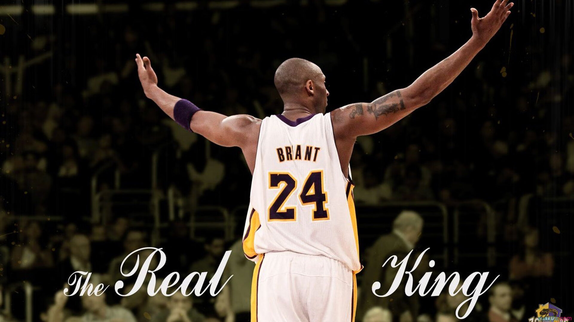 F1年度争冠之夜，卡马文加刷新纪录，当赛道与绿茵场共享极限的哲学